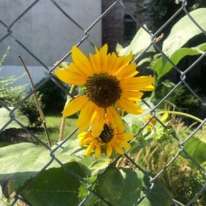 Meet your Posher, J e